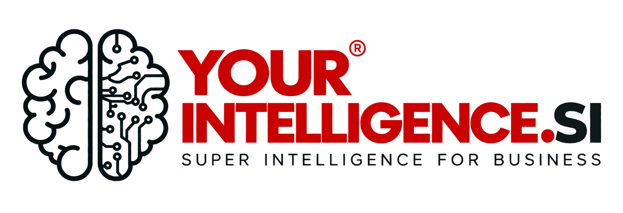YOUR INTELLIGENCE.SI — Super Intelligence for Business
